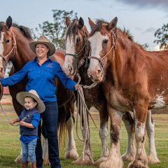 Giddy up to the country for the Scenic Rim Clydesdale Spectacular&#8217;s celebration of equine art, culture and tradition