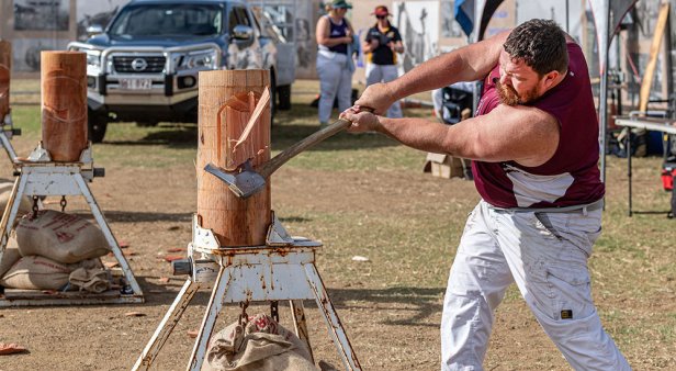 Escape to the country for a weekend of wagon rides, bush dancing and equine arts at the Scenic Rim Clydesdale Spectacular