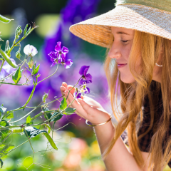 Food festivals, starry serenades and doggy days out  – top things to check out at Toowoomba Carnival of Flowers